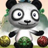 Kung fu Zuma