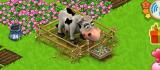 Funny Farm