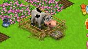 Funny Farm