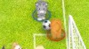 Pet Soccer